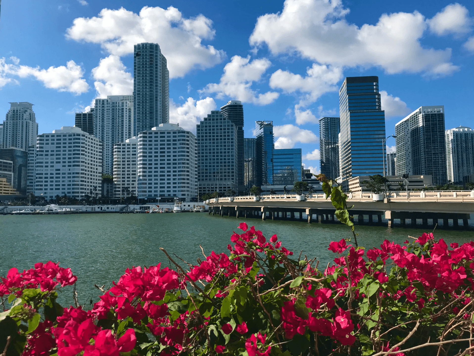 Miami skyline